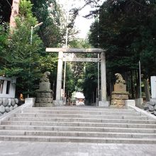 鳥居入口、ここから杉並木の参道