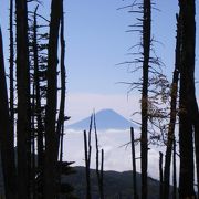 富士を望む散歩道 金峰山