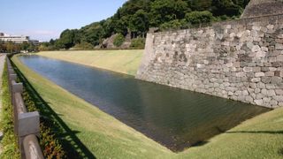 復元されたいもり堀 