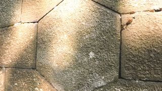 大火から建物を守った亀甲石がる