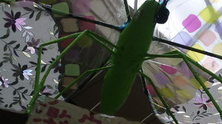 すごい熱い日でした