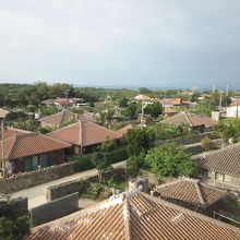 沖縄らしい風景です