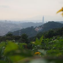 遠くに台北１０１も見れます。