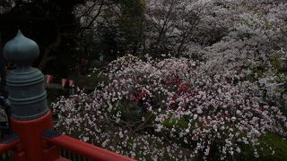 観光にも最適の上野のスポット。