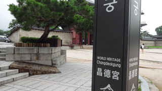 ガイドと一緒に回ると理解が深まります