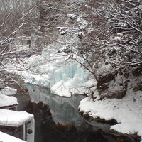 客室からの眺め