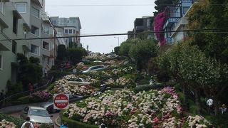 ７月のアジサイのシーズンに行くと綺麗です。