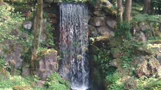 別名「紅葉滝」  チン・・真夏でした