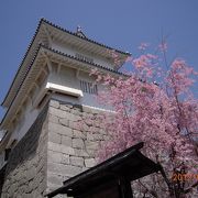 八重の桜効果で観光客アップなポイント