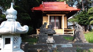 夏草に覆われています・・