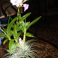 ロビーの流れるお水の中にあった・・・気がします