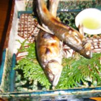 お魚美味しい＾＾