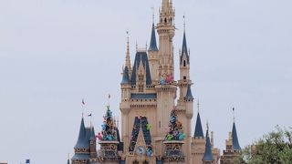 ファミリーが多いのがＴＤＲ