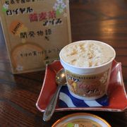 松本駅前でガラス越しの手打ち蕎麦が目に止まり入ってみた～ロイヤル蕎麦茶アイスお勧めです♪
