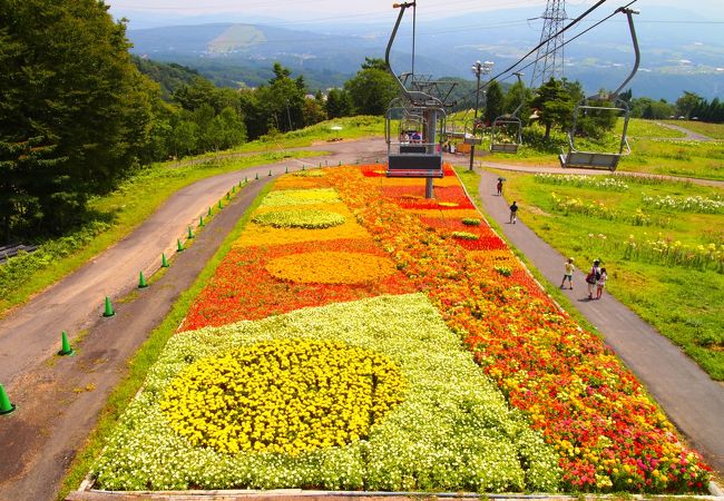 ダイナランドゆり園 クチコミ アクセス 営業時間 ひるがの高原 鷲ヶ岳 フォートラベル