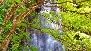 駒ケ滝(岐阜県郡上市)