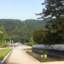 木陰で一休み〜