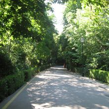 気持ちの山道を通って帰ります