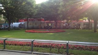 芝生を傷つけないようにね