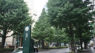 杜の都、仙台の緑豊かな景観にも貢献しています