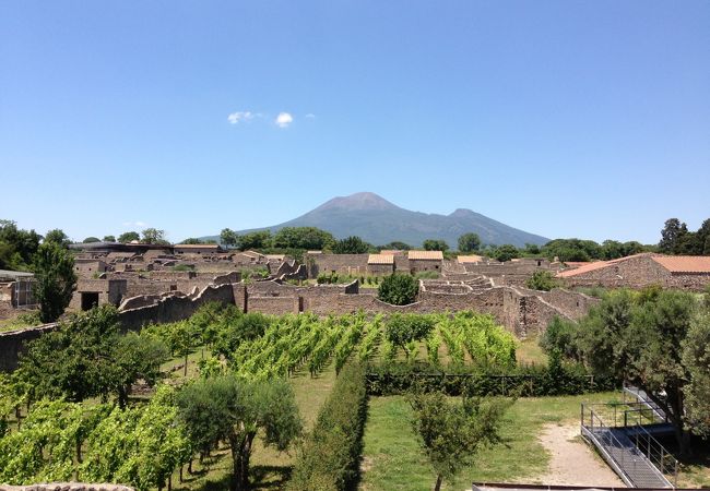 目印となるベスビオス火山。あっちが北ですな。