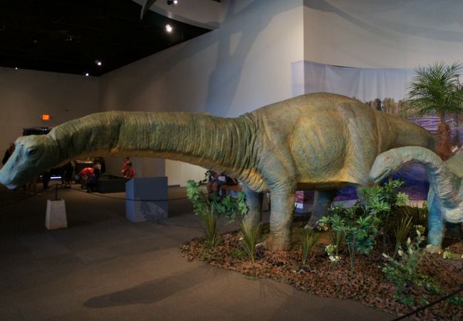 キャッスル記念館の恐竜の模型