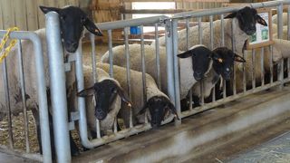 無料で大満足！！