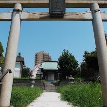神社として構えはある。緑は草生え放題