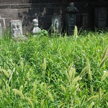 石造物は境内に・・草ぼうぼう