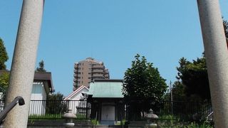 味気ない神社探訪でした！