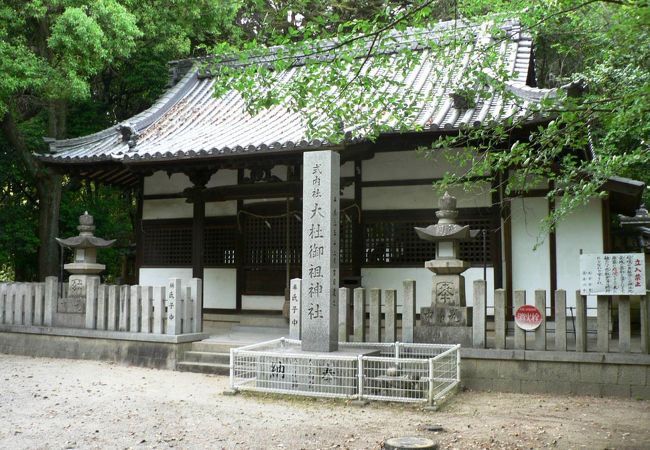 「奥の宮」といる呼ばれている「高宮廃寺跡」の大杜御祖（おおもりみおや）神社