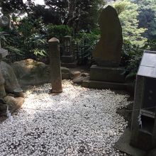 後ろの石。これじゃ拾い物できませんね