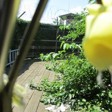 自由の橋の柵の向こうに本当の柵です。