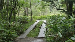 あいにく雨模様