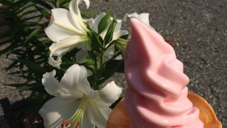 ユリ園☆リフトに乗って涼しい！