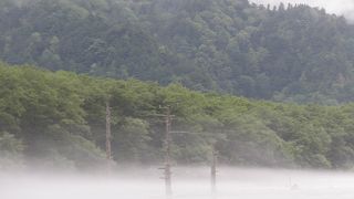朝もやの幻想的な風景