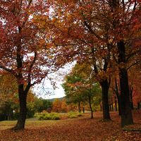 この写真は2009年10月の写真です。