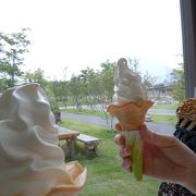 富士山も見えるし、おいしいソフトクリームも。