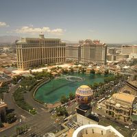 噴水ショーを堪能できます