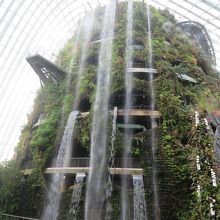 Cloud Forest内の滝