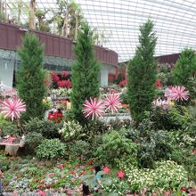 フラワードーム