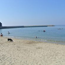 綺麗な海です