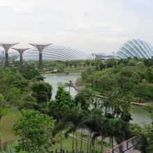Gardens by the Bay 全景
