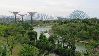 Cloud Forestは必見