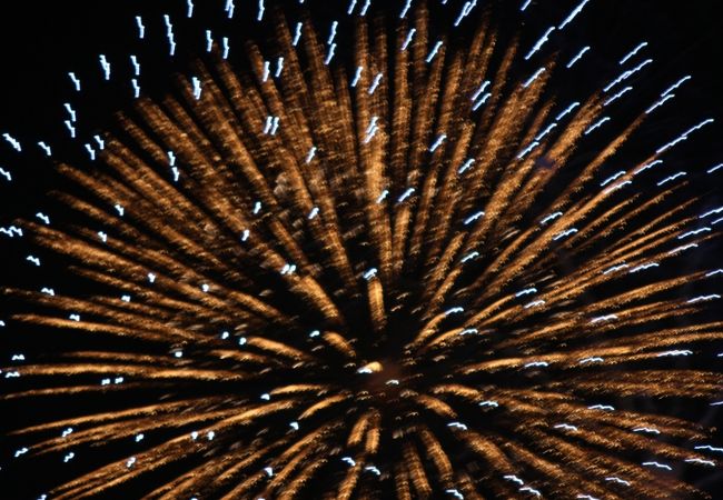刈谷わんさか祭り花火大会 クチコミ アクセス 営業時間 刈谷 知立 フォートラベル 刈谷わんさか祭り花火大会 クチコミ アクセス 営業時間 刈谷 知立 フォートラベル