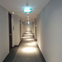 客室通路です、新しくとてもきれいです