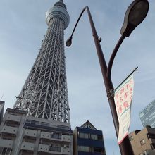 少し離れたバス停からのショットです。