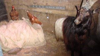 分かりやすい展示でこどもでも楽しめます