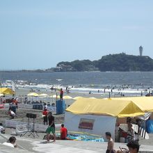 至近での撮影は禁止されています！・・遠くから撮りました