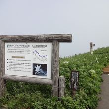 展望台から元地側へ行く道